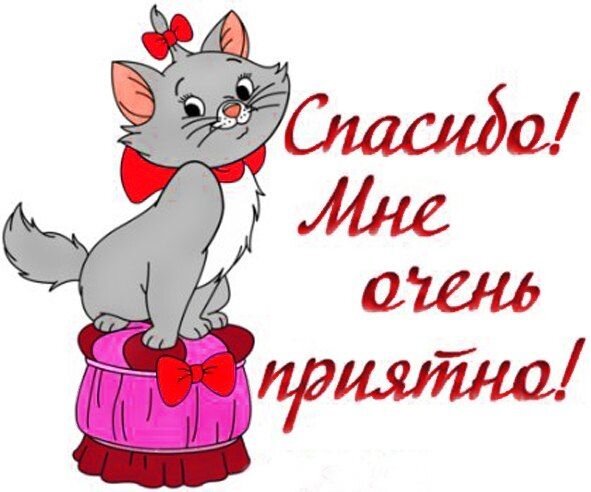 Фото с https://yandex.ru/images
