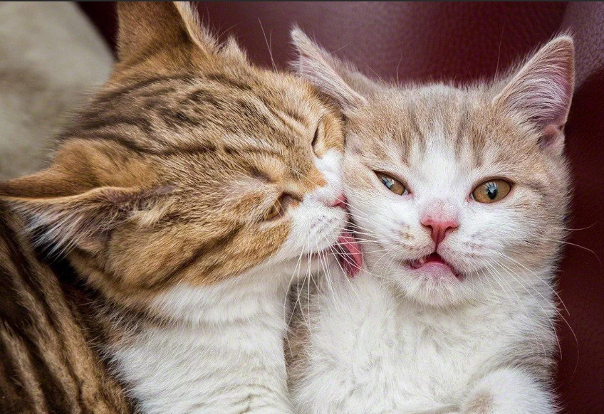 Фото взято из открытых источников