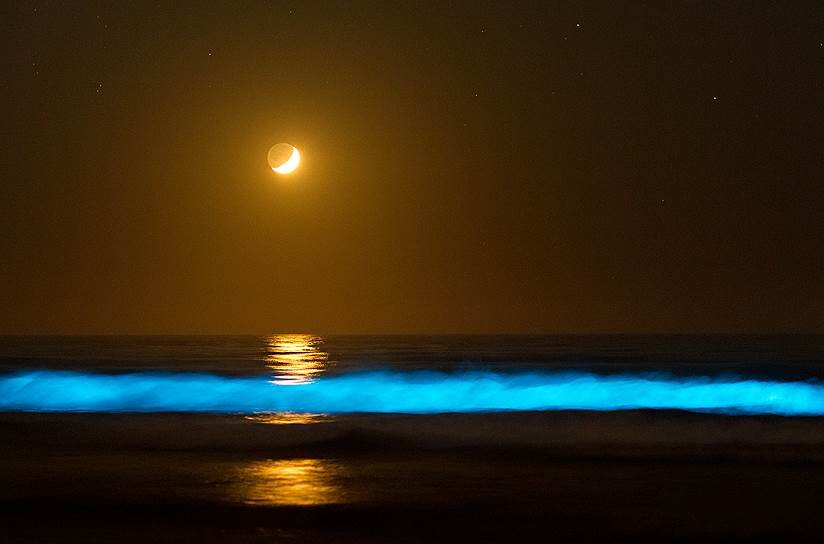 Tom Munnecke / Flickr