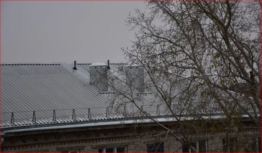 Так, примерно, выглядят лучшие из них.