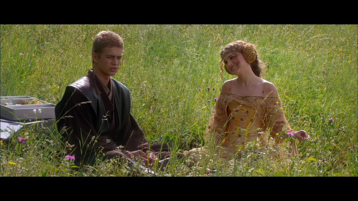 Энакин и Падме на Набу, где Энакин впервые говорит о необходимости "заставлять" некоторых ради общего блага, а Падме говорит, что это "смахивает на диктатуру". Кадр из кинофильма "Звёздные войны. Атака клонов".