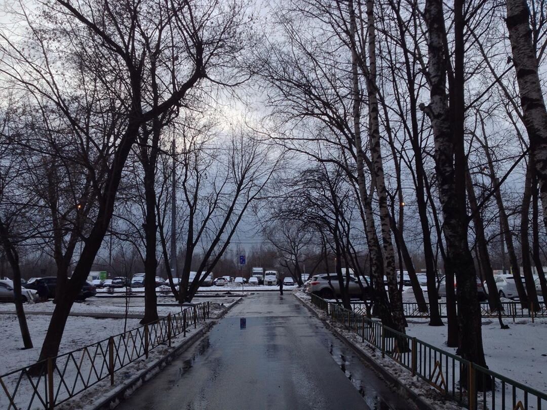 9 января 2020 года, около 16:00. http://instagram.com/biryulyovocam