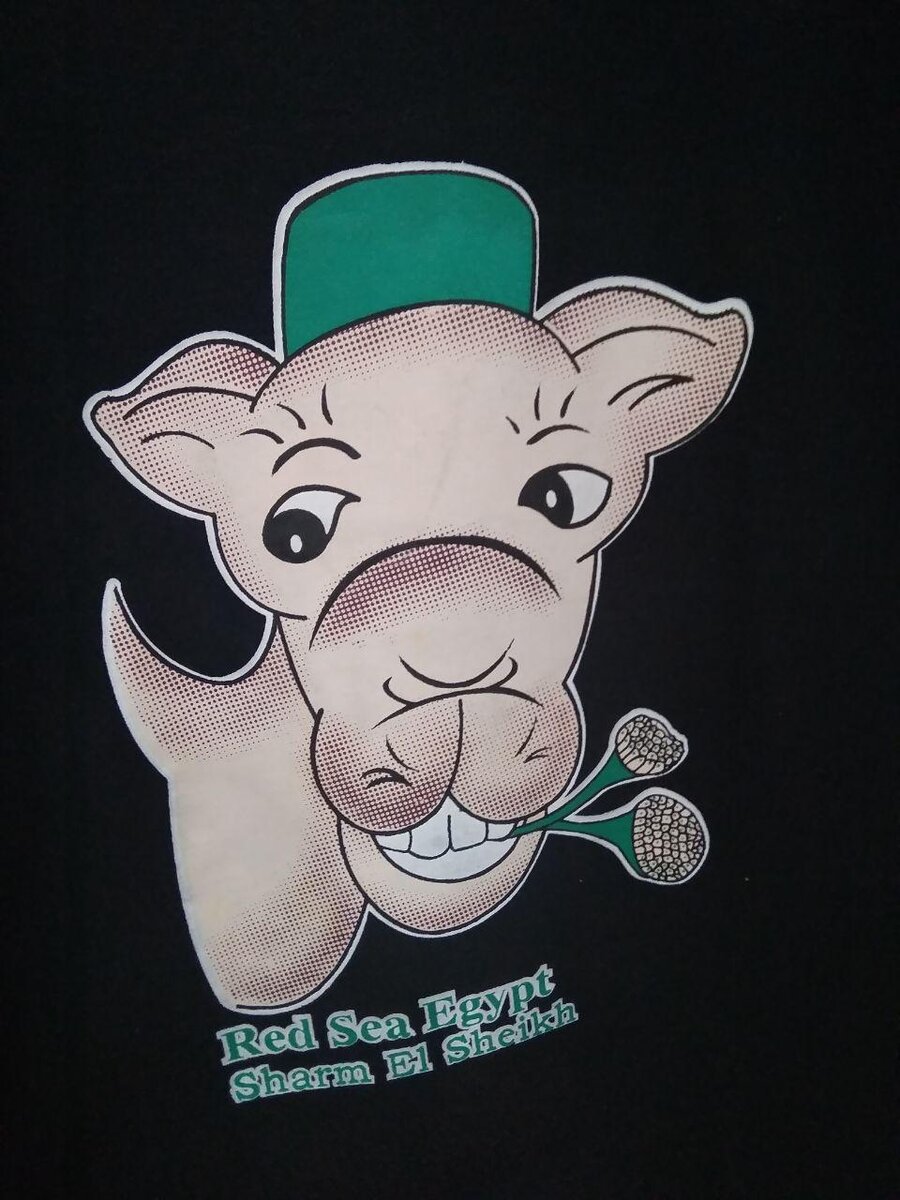 Надпись на футболке