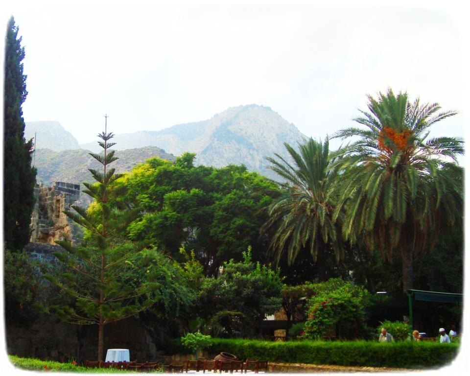 Двор аббатства утопает в зелени, а вокруг доминируют красивые виды.