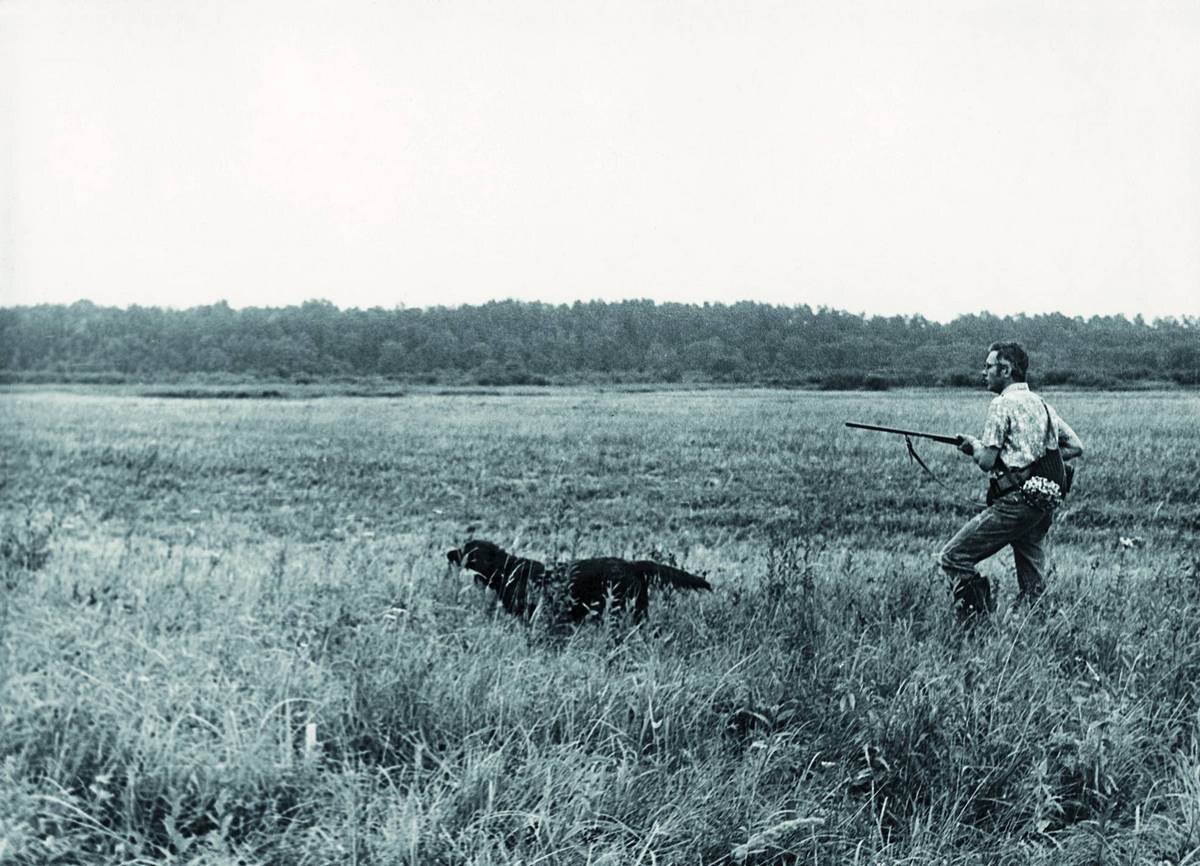 душа охоты. душа охоты. якутская аборигенная лайка охотничья. трусканские снежные гончие. охота душ элатайна.