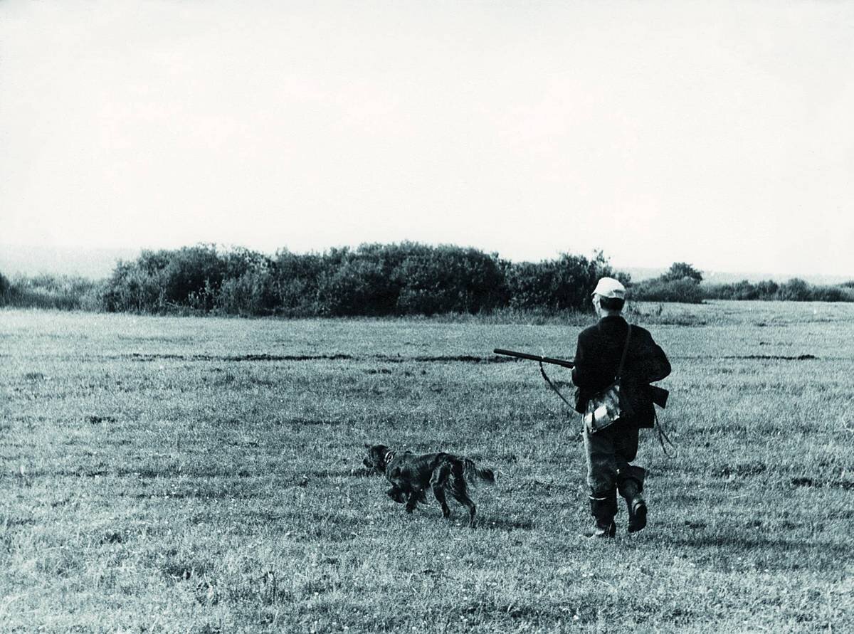 спаниель русский питомник охотники. охота с шотландским сеттером. ирландский сеттер охота на глухаря. сеттер ирландский и охотник. душа охоты.