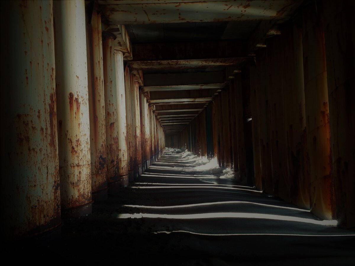 здесь и далее фото автора