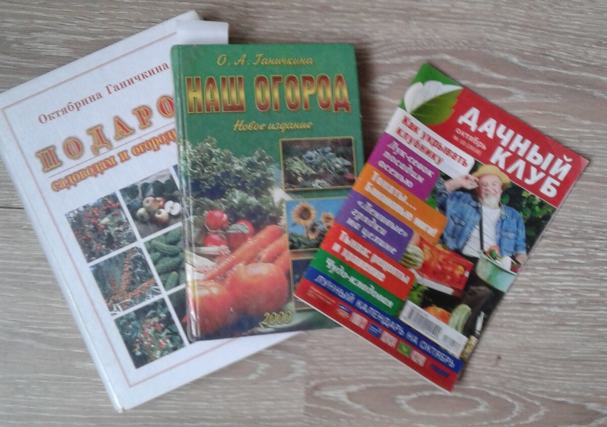 Практически мои настольные книги и журнал