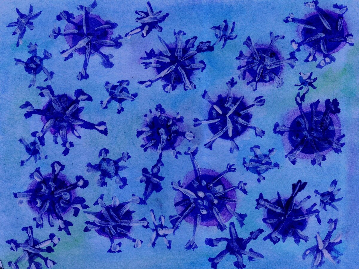 Коронавирус может изменить форму обучения школьников