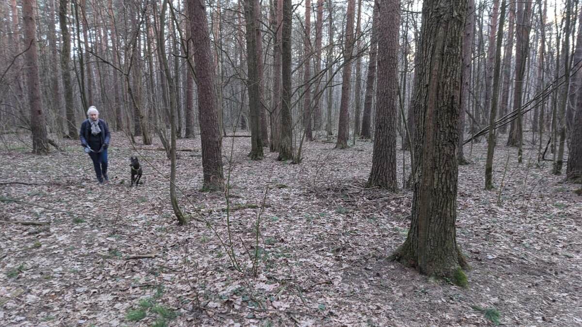 Пенсионеры на прогулке