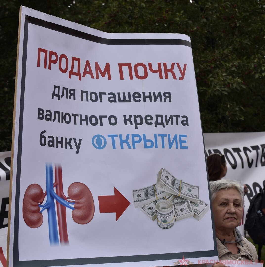 Продай свою почку. Объявление о продаже почки. Какую почку продают. Какую почку продают. Почку продам срочно.