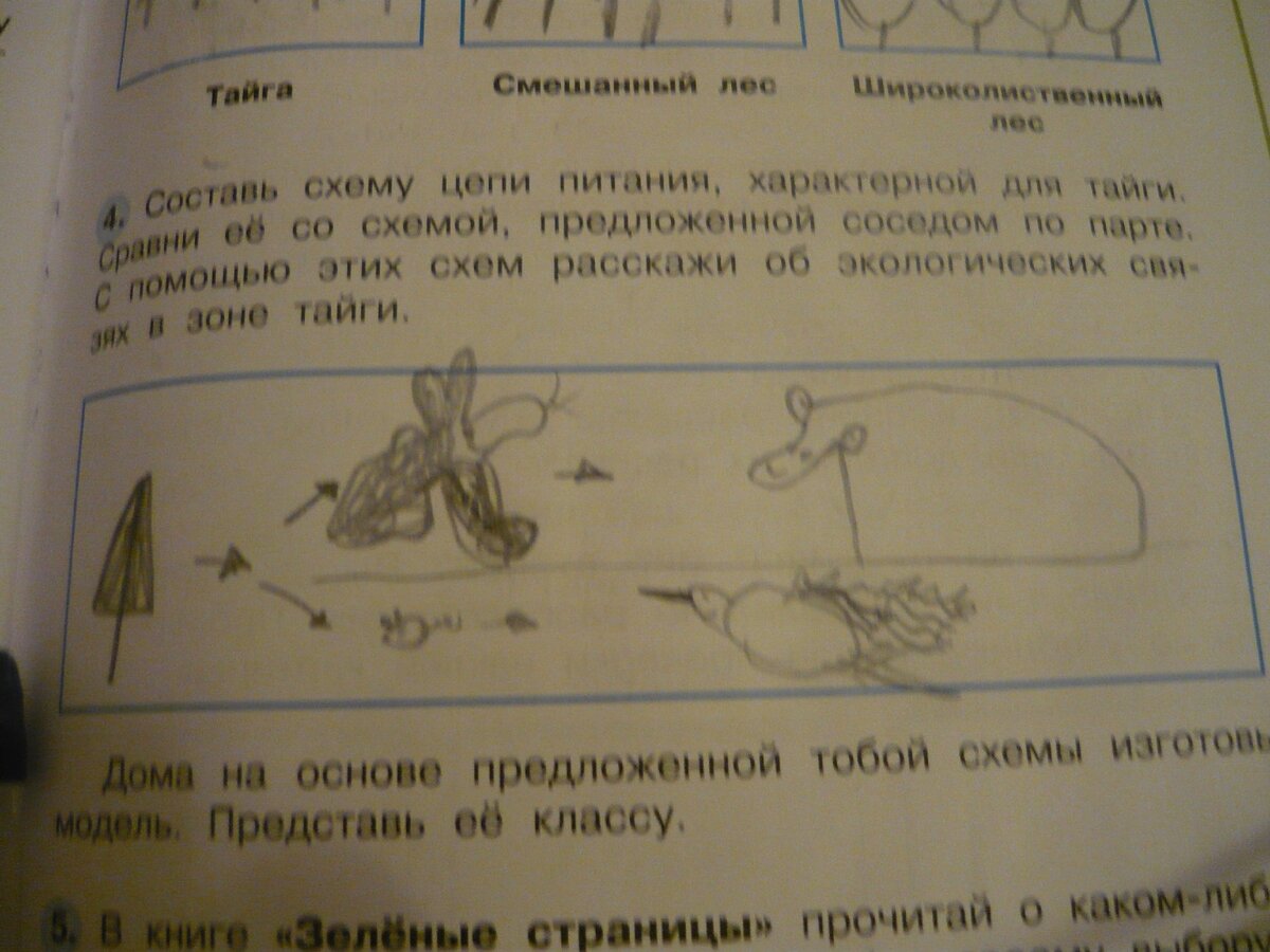 Раздел 7
