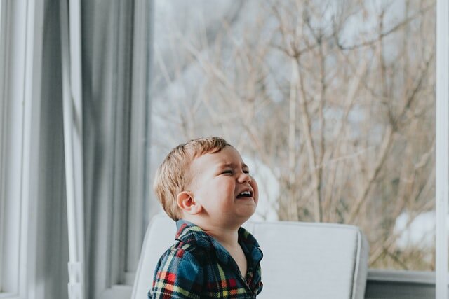 Photo by Marcos Paulo Prado on Unsplash