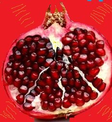 Songs for Persephone