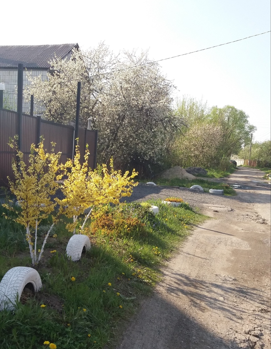 Придомовая территория соседей, которые ее облагородили, оставив единственный заезд для машин перед гаражом