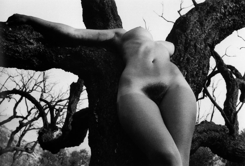 Серия "Лесные ню". Л.Клерг, 1970 г.