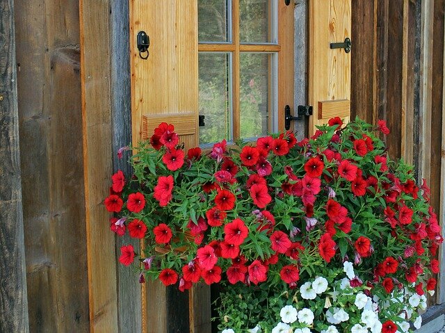 источник фото https://pixabay.com/