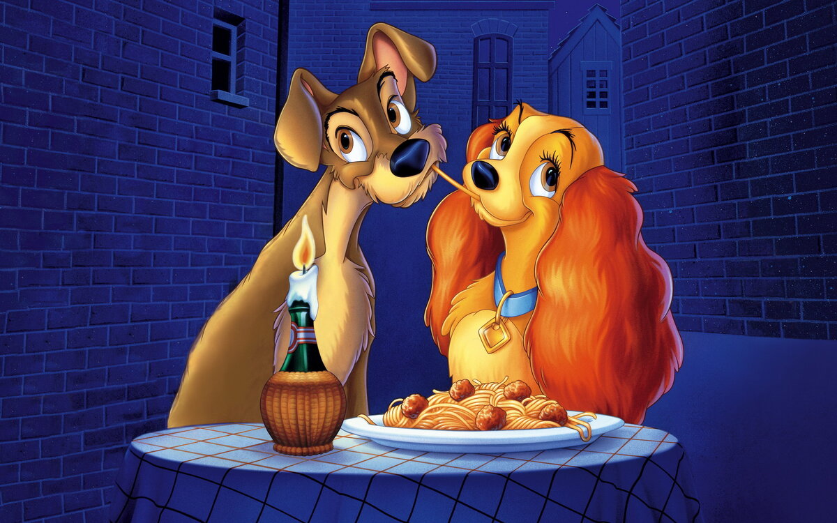 История любви бездомного пса и породистого кокер спаниеля