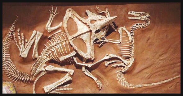 А вот и та самая фотография, которая стала источником вдохновения для художника! (Источник: www.pinterest.com)