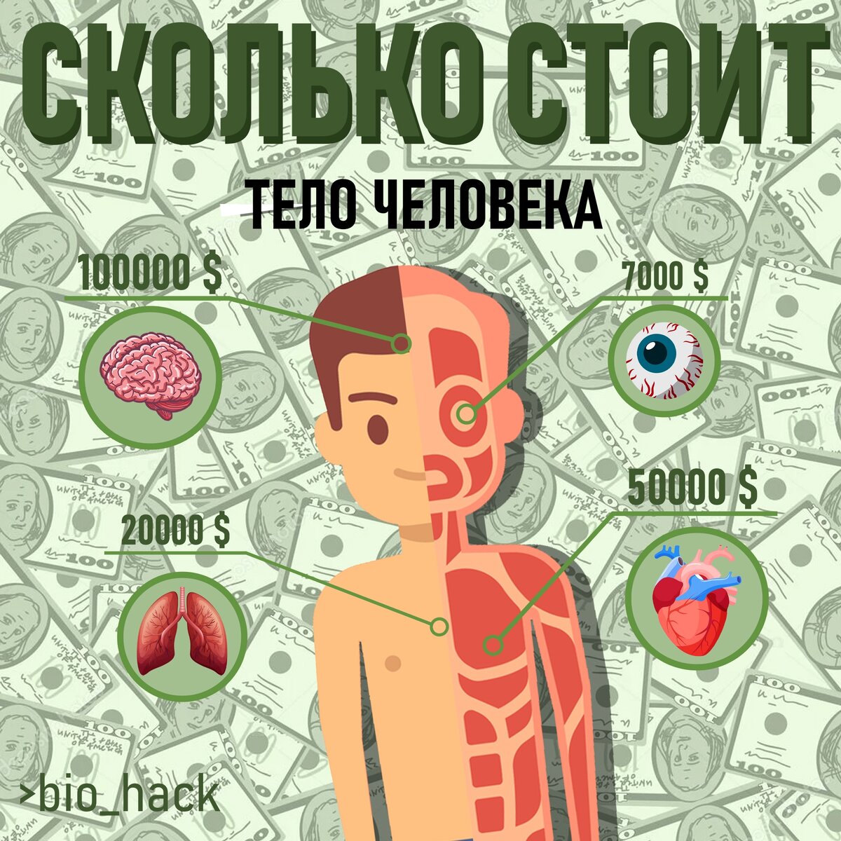 Источник: >bio_hack