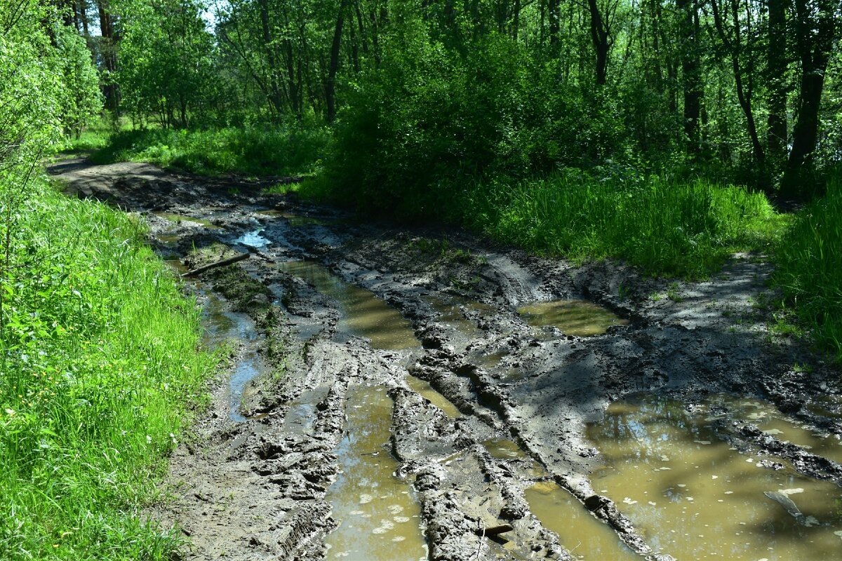 Муж водитель-профессионал, нигде не застряли