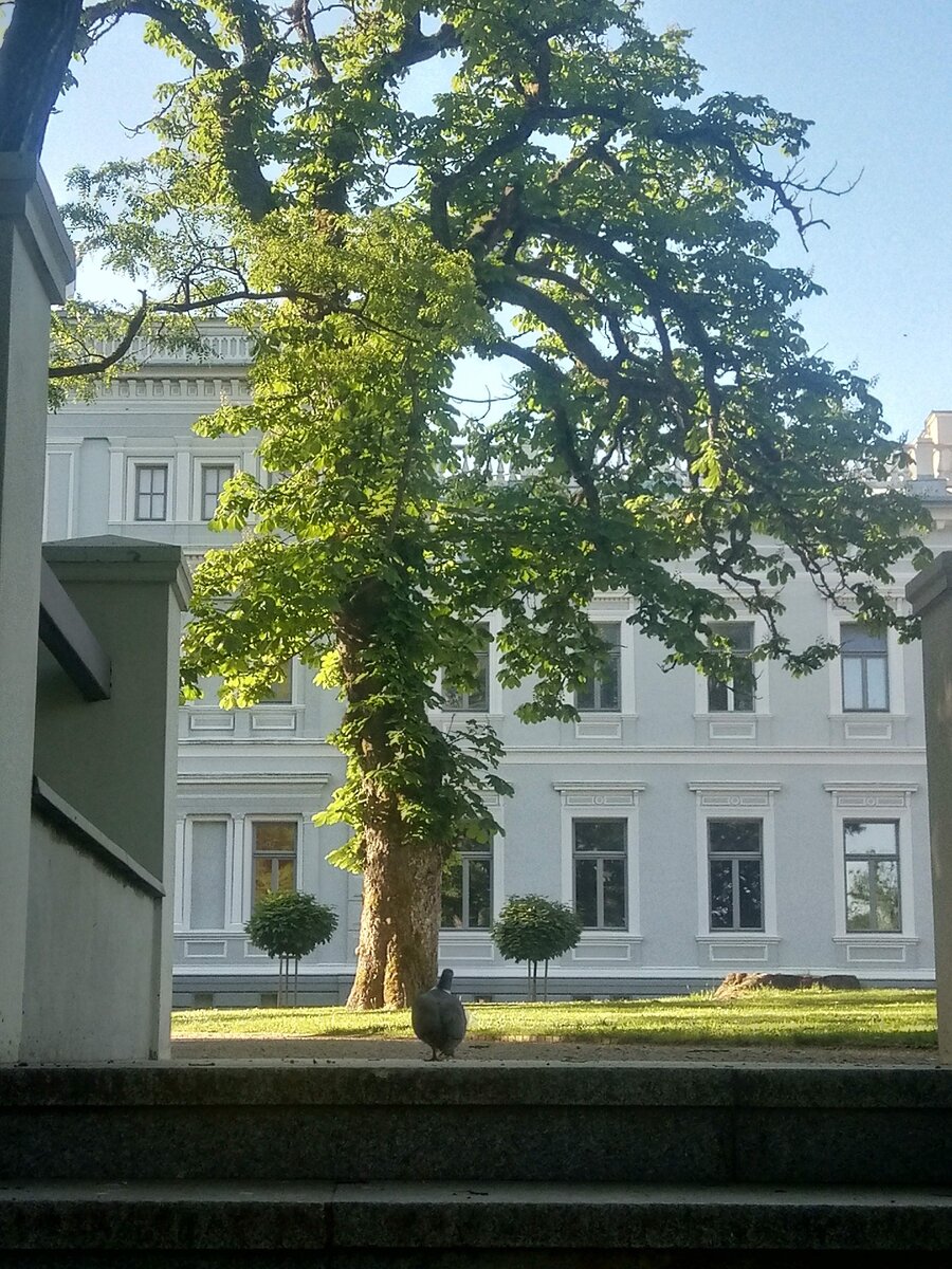 Если в эти дни  будете  в  гостях в Литве,в городе Плунге,обезательно посетите парк Огинскый.Ну если  надо будет  гид,я с удовольствием   дать  консултацию,где  интересно провести интересно свободное  время.