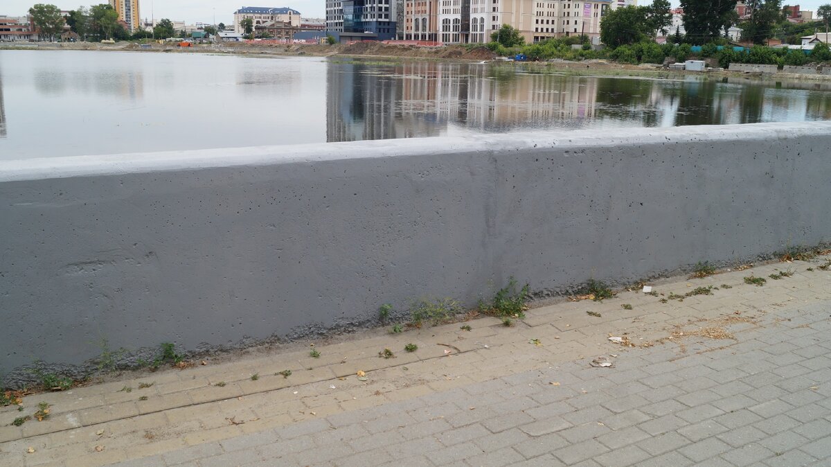 Фото автора. Лето 2020.