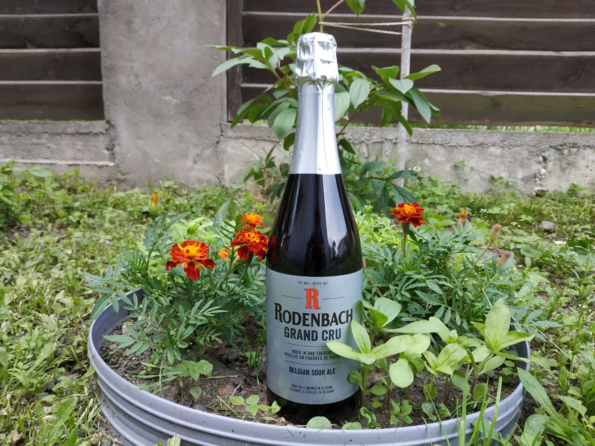 Обзор Rodenbach Grand Cru от пивоварни Rodenbach (Розеларе, Бельгия)