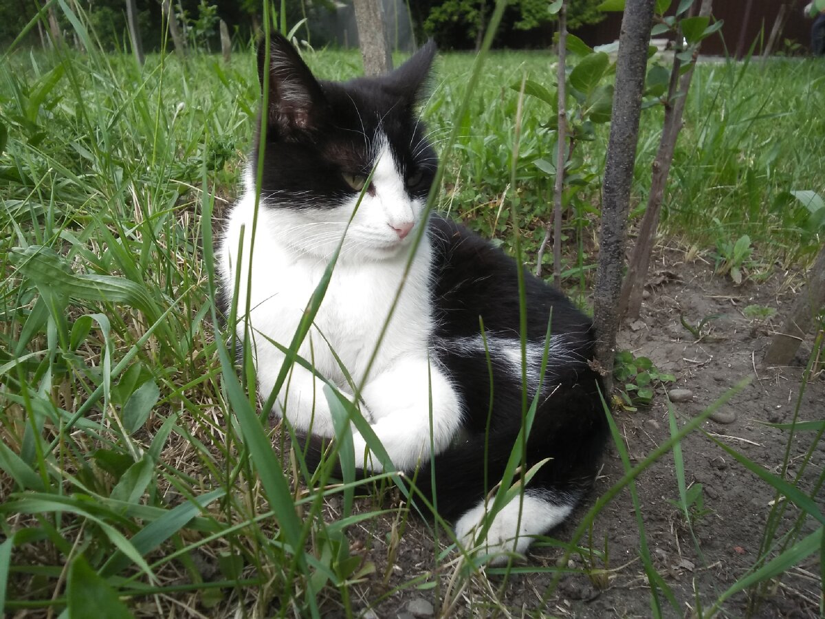 Мы ждем Вас на личном приёме!