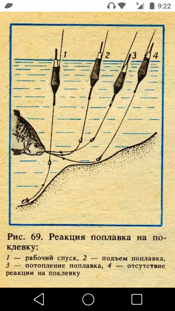 Как ловить на удочку летом. Оснастка поплавочной удочки на леща на реке. Оснастка поплавочной удочки на леща. Поплавочная снасть на леща летом. Оснастка поплавочной удочки на леща летом.