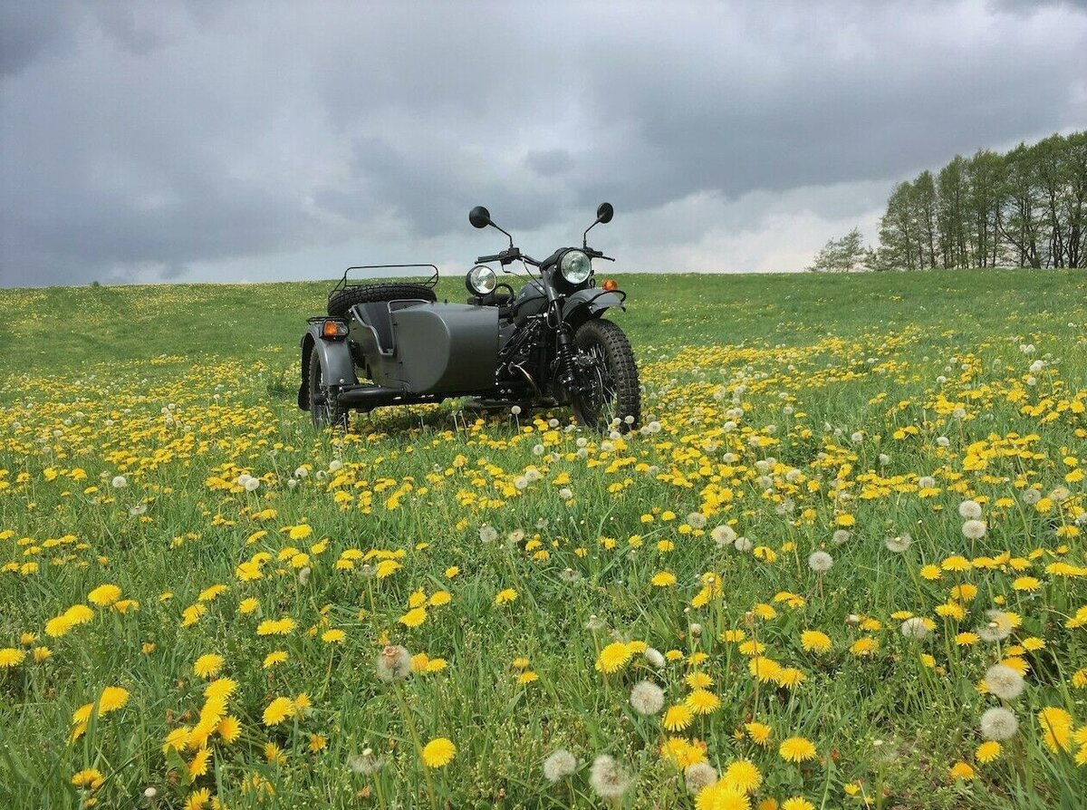 Мотоцикл Урал любых модификаций - самый экспортируемый мотоцикл в мире. Он особенно популярен в сельских хозяйствах.