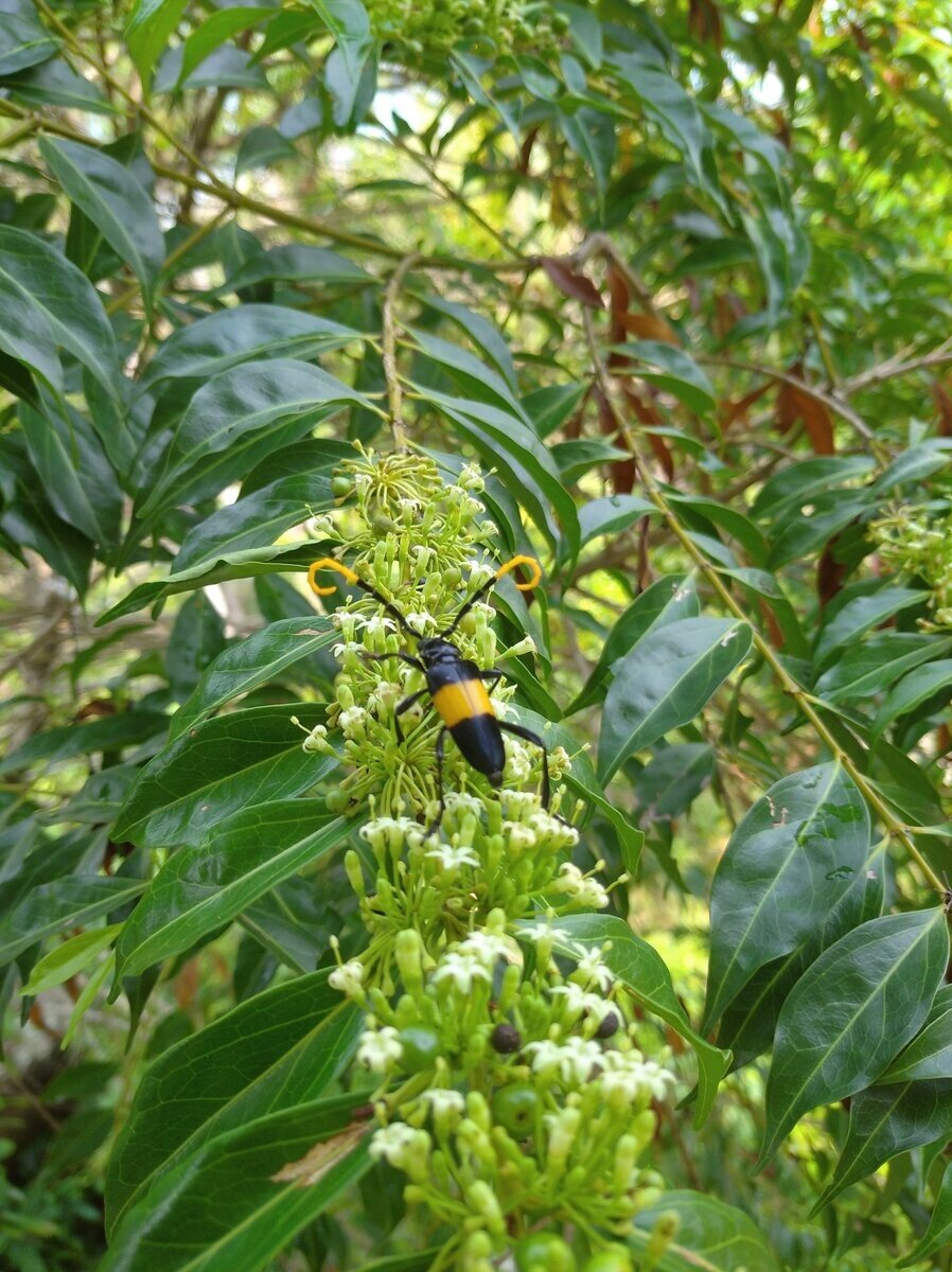 фото автора Елены М.