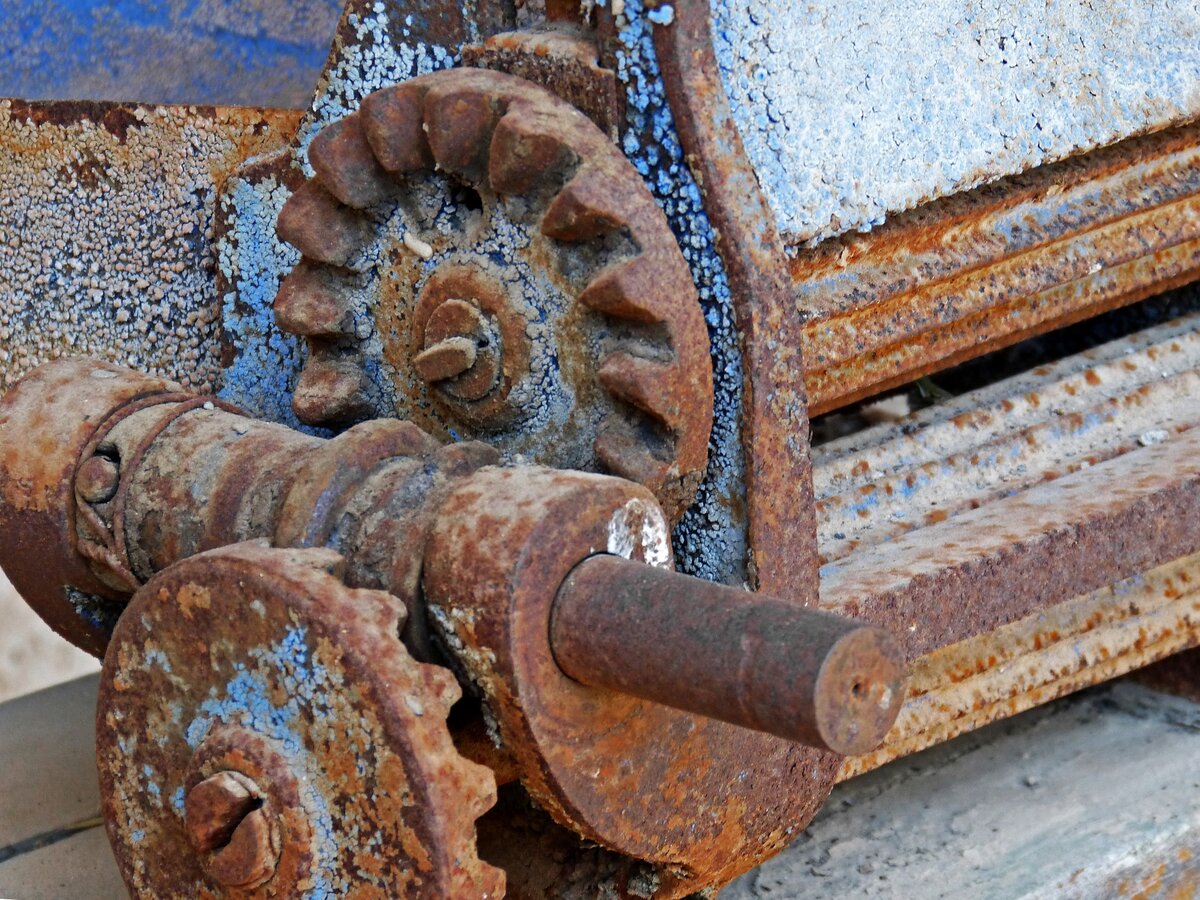 Фото M.Pascual, Pixabay