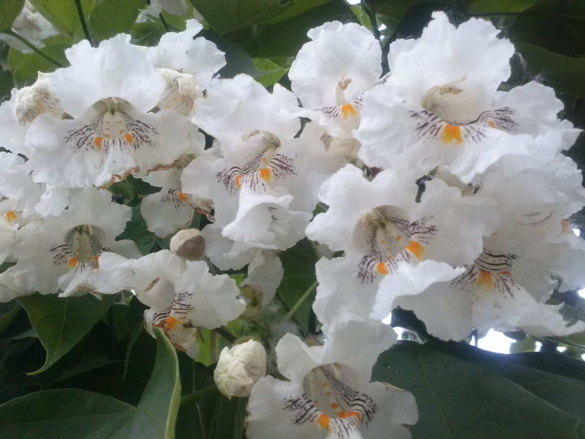 Фото из личного архива.