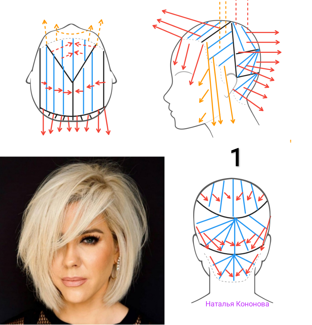 Схема боб. Схема стрижки градуированное каре на короткие волосы. Схема стрижки градуированное каре на средние. Градуированный Боб каре схема. Градуированный Боб схема стрижки.