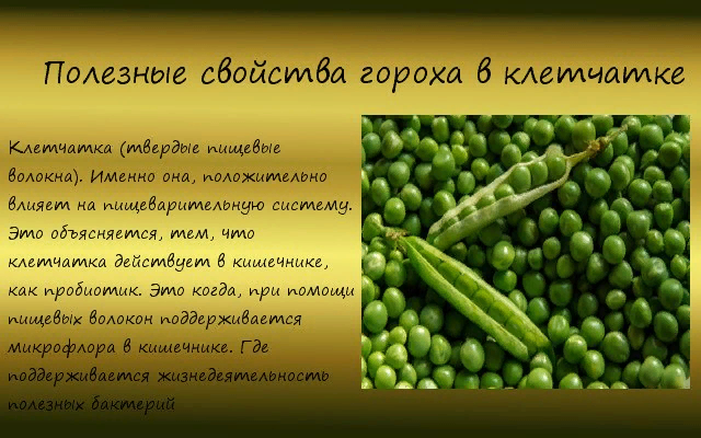 Польза свежего зеленого горошка для организма человека. Чем полезен горох. Лечебные свойства гороха. Полезные свойства гороха. Чем полезен зеленый горошек.