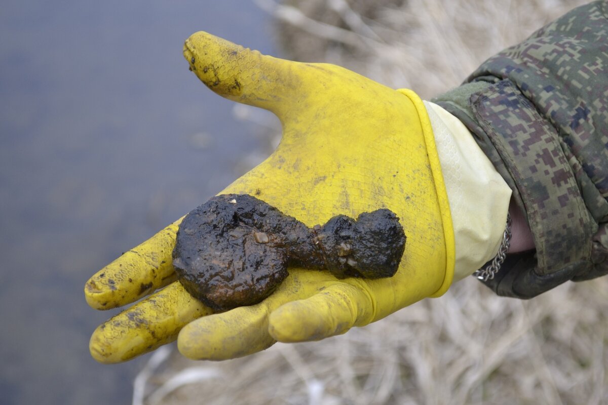 Обычные находки - чермет
