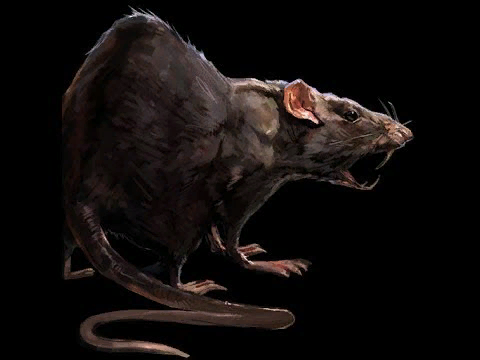 К сожалению, не смогла выяснить ,кто автора этого рисунка. Но очень, очень выразительно и прекрасно отражает то, что представляли себе бедные сотрудники сырзавода.