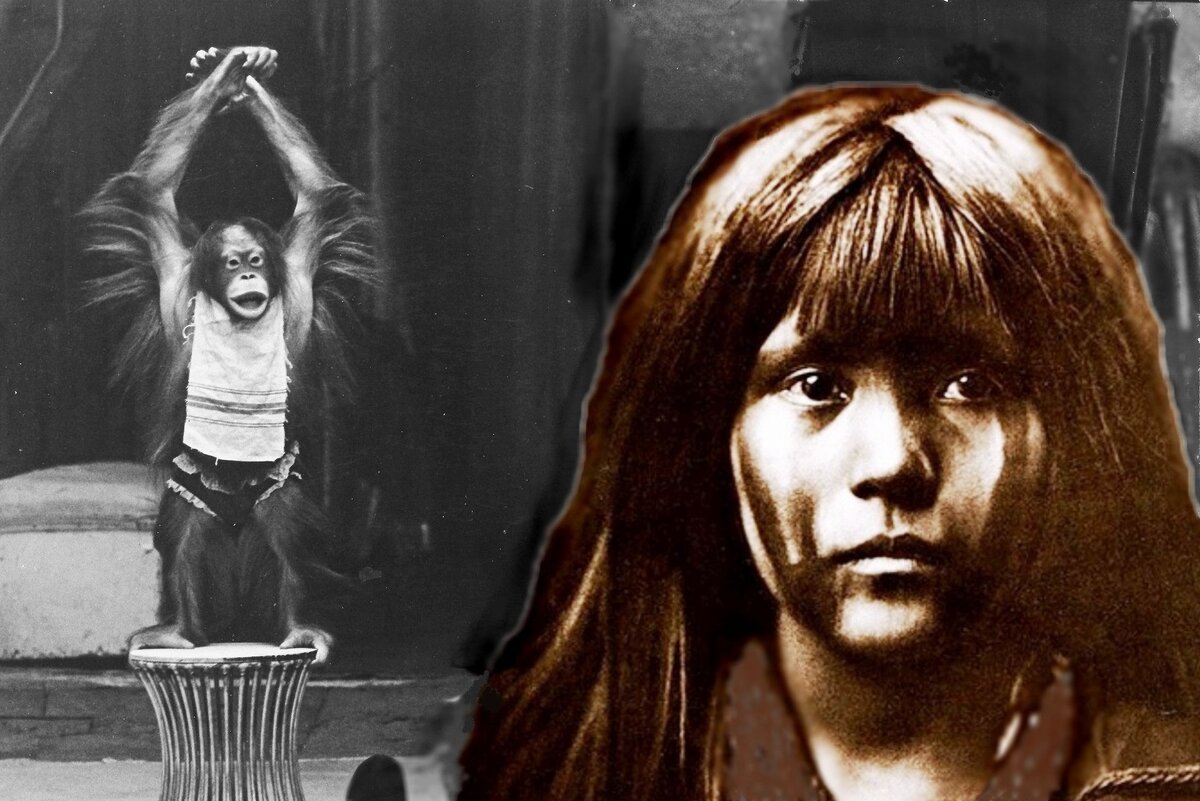 Подписывайтесь, друзья, на мой канал. Ставьте лайки.