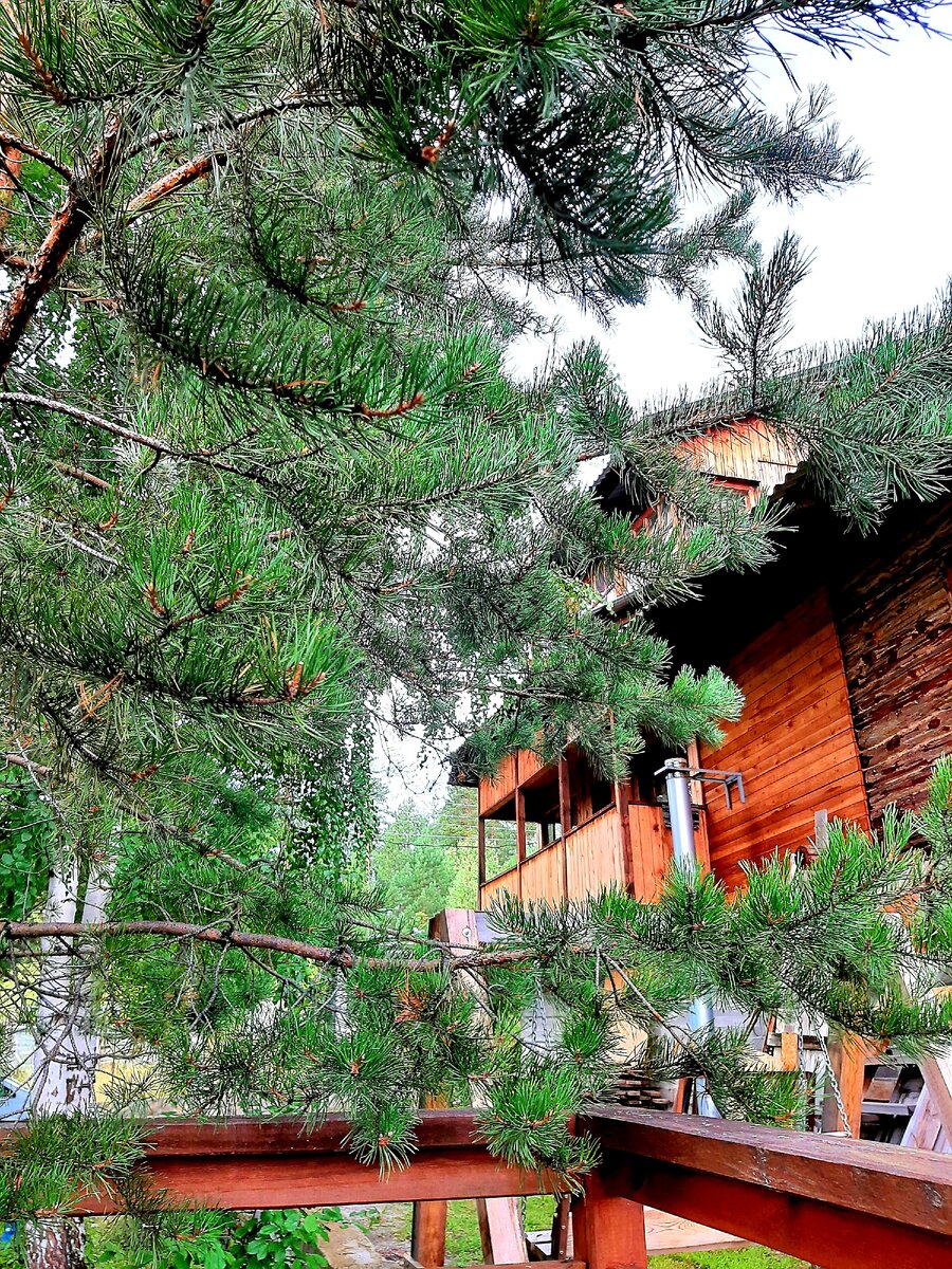 Наша любимая дача 