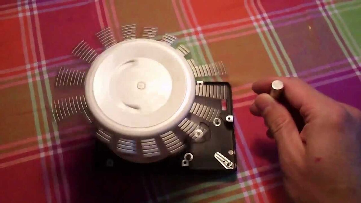 Фото взято из открытых источников