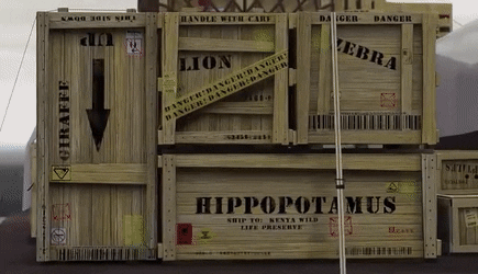 Героев отправляют в ящиках на Мадагаскар