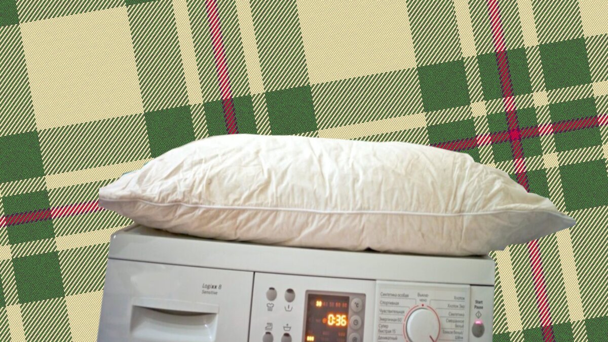 Дочитывайте статью до конца и подписывайтесь на канал