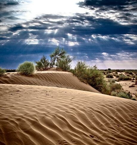 

Инструкция: Представьте себя в ситуациях, которые будут Вам предложены, а потом опишите "увиденное", отвечая на вопросы теста. Чтобы было удобнее расшифровывать результаты, записывайте свои ответы на листе бумаги.

Тестовое задание:

1. Первый образ, который нужно представить - это пустыня. Как вы себя в ней чувствуете?

2. Далее, представьте в этой пустыне куб. Как он выглядит? Какого он размера? Какова его температура? Из чего он сделан? Где он расположен? В каком он состоянии? Отражается ли от него свет? Он заполнен внутри или пустой? Какой он по весу? Запишите эти определения на бумаге. Если куб кажется вам весёлым, так и пишите, не ограничивайте себя.

3. Теперь представьте в пустыне лестницу. Она соприкасается с кубом? Она выше или ниже куба? Она новая или старая? Сколько перекладин?

4. Теперь представьте в пустыне цветы. Они разные или одинаковые? Сколько их? Что это за цветы? Как они расположены относительно куба и лестницы?

5. Представьте, что в пустыне случился ураган. Где он происходит по отношению к остальным предметам? Как он происходит? Что это за ураган?

6. И наконец, представьте лошадь (коня). Какой он? Цвет? Размер? Что он делает? Где расположен на картинке?

ИНТЕРПРЕТАЦИЯ ТРЕТЕГО ТЕСТА📖

Интерпретация теста:

1. Пустыня — это жизнь, которая Вас окружает! И то, насколько комфортно Вам в этой пустыне, показывает, как Вы ощущаете себя в жизни.

Если Вам в ней жарко то, на сегодняшний день Вам ещё не совсем комфортно в жизни. Возможно, слегка запутались в некоторых событиях, отношениях. Но это временно!

Если Вам хорошо в пустыне то, на сегодняшний день Вам достаточно комфортно живется в этом мире.

Если холодно - это означает, что на сегодняшний день Вам не совсем комфортно в жизни. Есть некоторые обстоятельства, которые вызывают у Вас сомнения.

2. Куб — символизирует представление человека о самом себе.

Большой куб на пол листа — преувеличенное внимание к своей персоне, раздутое эго, завышенная самооценка.

Маленький куб — считает себя незначительным, застенчивость, его не понимают.

Куб, лежащий на земле — хорошо ощущает реальность, твёрдо стоит на ногах.

Куб вдалеке — ощущает себя забытым, на обочине жизни.

Куб, закопанный в песок — человек чувствует себя подавленным, под грузом внешних обстоятельств.

Куб в воздухе — мечтатель, богатое воображение, но оторванность от реальности.

Куб высовывается за линию горизонта — большие амбиции (и наоборот).

Куб стоит на ребре — неустойчивая жизнь.

Куб из прочного материала — уверенность в себе, основательность.

Куб из золота — считает себя бесценным.

Куб из стекла — чистота и невинность.

Куб, заполненный чем-то мутным — ненавидит себя.

Пустой внутри — ощущает себя опустошённым, неудовлетворённым.

Определения, которые вы дали кубу — самохарактеристика.

3. Лестница — символизирует ближайшую социальную структуру человека (друзья, родственники).

Длинная, со многими перекладинами — общительность, большой круг общения.

Лестница из необычного материала — чувствует, что его друзья странные, не такие, как все.

Лестница в плохом состоянии — считает, что вокруг него испорченные люди.

Лестница далеко от куба — не пускает окружающих в личную жизнь, окружён панцирем.

Лестница прислонена к кубу — считает, что много делает для друзей, даёт им больше, чем они, его окружают слабые люди.

Лестница на кубе — друзья / семья подавляют, чересчур вмешиваются в личную жизнь.

Лестница под кубом — ощущает поддержку.

Прочная лестница — окружён надёжными людьми, или стремится к этому.

4. Цветы — роль детей в жизни человека.

Число цветов — сколько хочет детей.

Если много — то работает или хочет работать с ними, быть окружённым ими...

Цветы близко к кубу — очень нуждается в детях.

Ярко цветущие цветы — мечтает о яркой судьбе детей.

Помятые цветы — окружён испорченными детьми.

Цветы гнутся на ветру — боится трудностей у своих детей.

Повсюду и покрывают куб — дети утомляют его.

Красивые цветы (розы, мак) — очень любит детей.

5. Урган - символизирует отношение человека к жизненным проблемам.

Ураган вдалеке — неприятностей сейчас практически нет.

Приближается — боится кризиса в жизни.

Уходит — неприятности отступают.

Большой ураган — ощущает себя в огромной яме неудач.

Ураган проходит мимо — проблемы мало затрагивают его.

Маленькая гроза — не особенно боится предстоящих проблем.

6. Лошадь или конь символизирует представление человека о нынешнем сексуальном партнёре, если о будущем, то какого он хочет.

Сильный, большой — нужен надёжный партнёр.

Цвет указывает на характер, темперамент, яркость, холодность и т. д.

Близко от куба — нуждается в эмоциональной и физической близости с партнёром.

Далеко — не спешит полностью открываться партнёру.

Лошадь (конь) кусает, обнюхивает, облизывает куб — его представление о ласках. Небольшая, послушная лошадь (конь) — хочет доминировать в отношениях.

Необузданная лошадь (конь) — нужен неприручаемый партнёр.

Привязанная — хочет всегда держать партнёра под контролем.

Лошадь (конь) что-то делает с лестницей — отношения партнёра с его близкими.

Лошадь (конь) вдалеке — чувствует себя брошенным.




