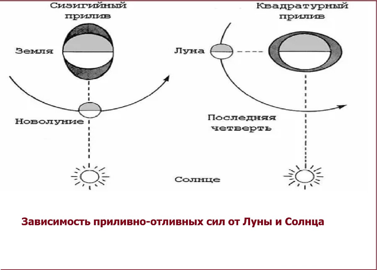 Приливы и отливы от луны схема. Земля луна отлив прилив схема. Приливные силы. Приливные силы. Приливные силы схема.