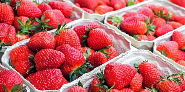 Источник фото: https://biznesselo.com