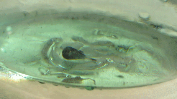 Игра мормышки без отрыва от дна