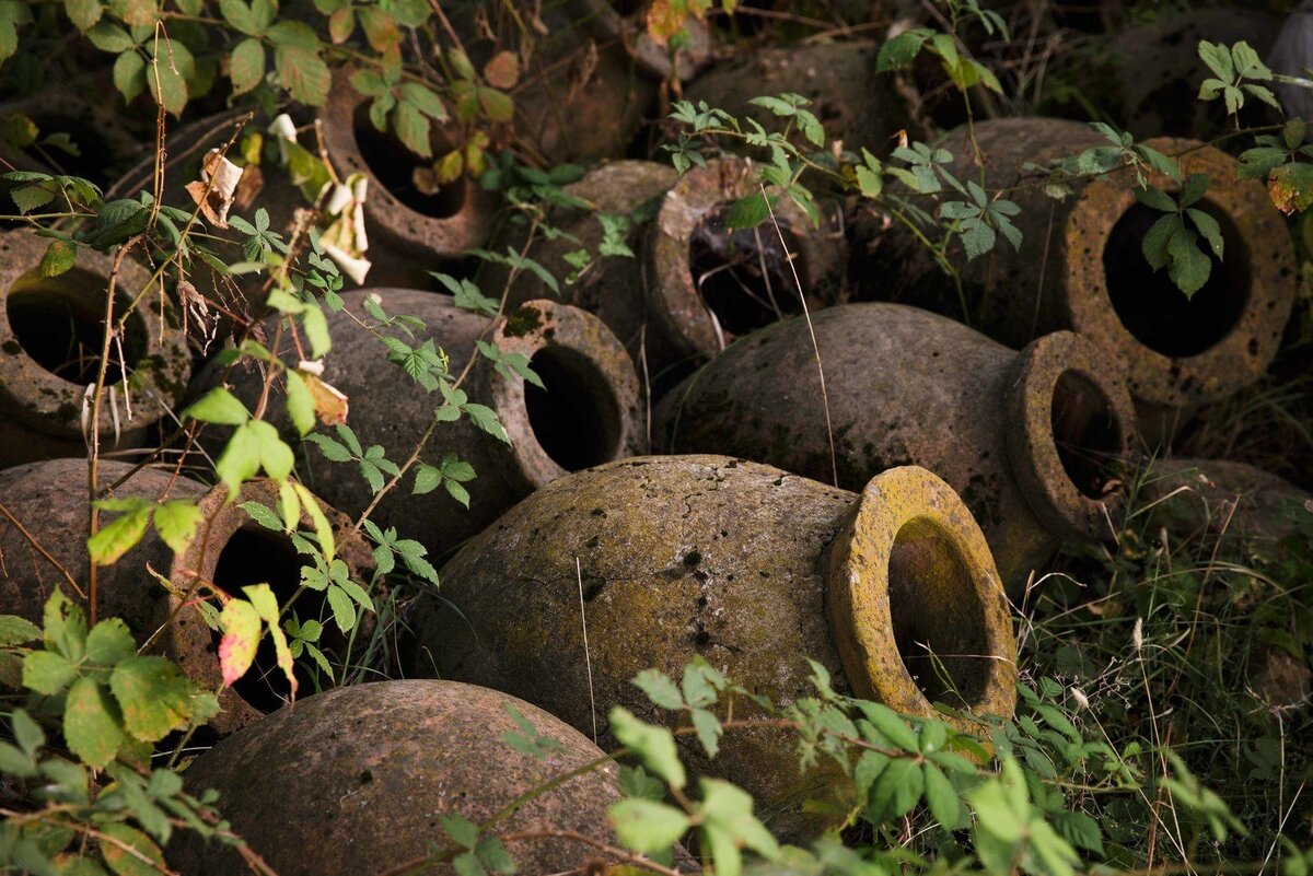 © Андрей Ковалев