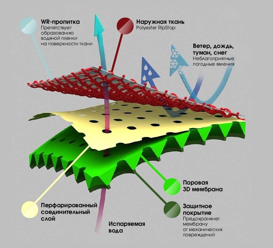Структура мембранной ткани
