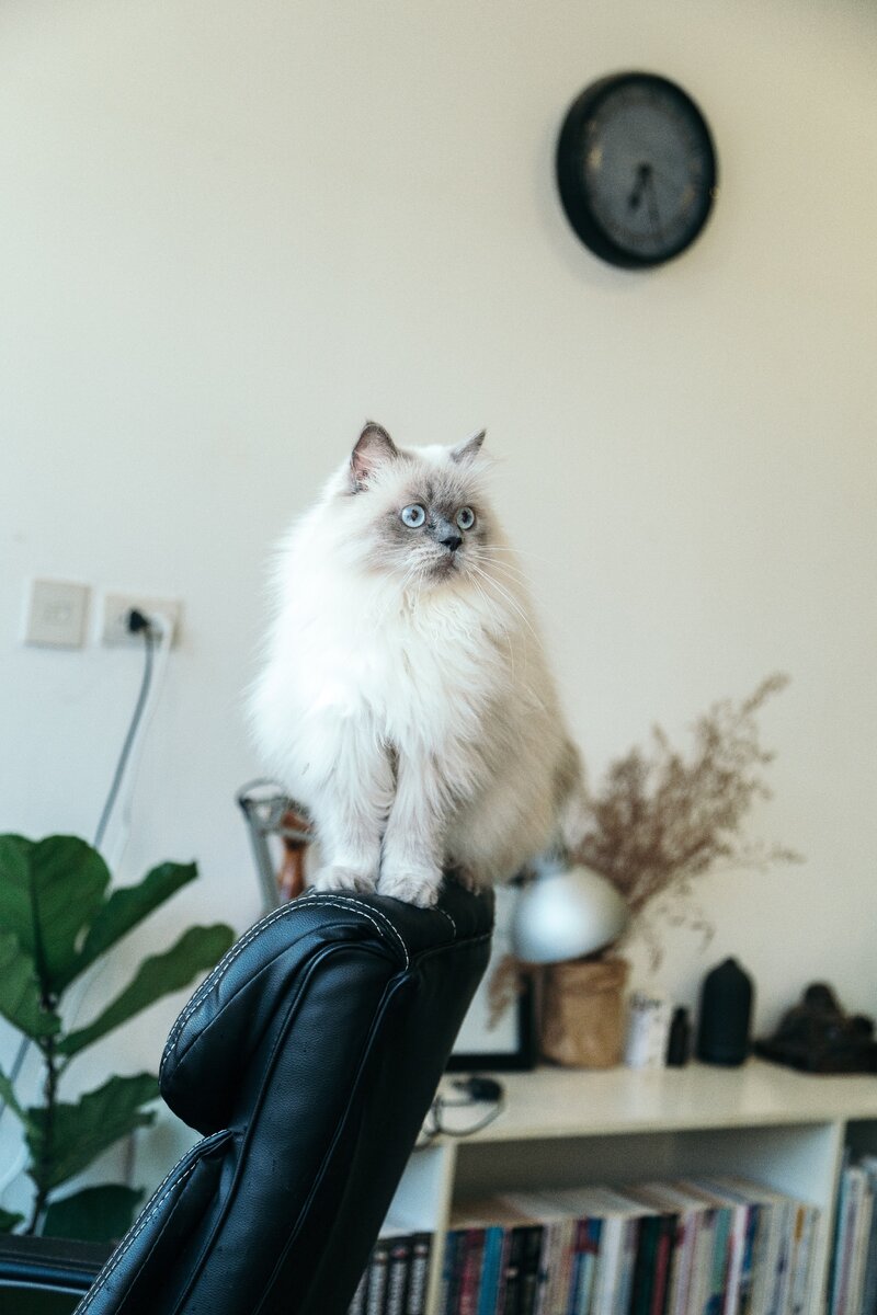 Источник https://www.pexels.com/